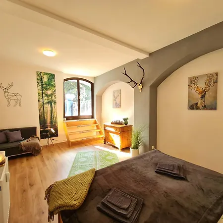 Neu: Grosszuegige Citywohnung Mit Xxl Dachterrasse! Apartmán Freiberg
